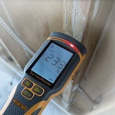 Moisture content testing for mold and water damage