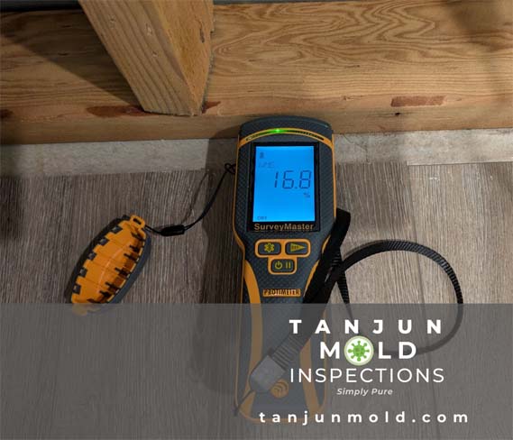 Advanced Tools - Moisture Content (MC) reading tool