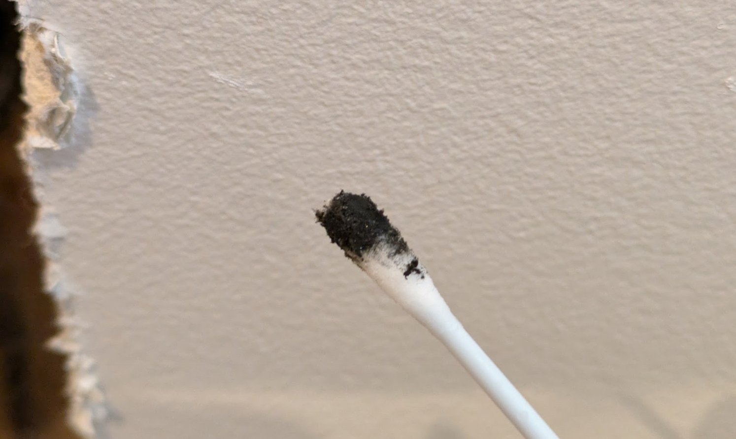 Mold inspection in Los Angeles home. Swab test for black mold. Stachybotrys. Chaetomium